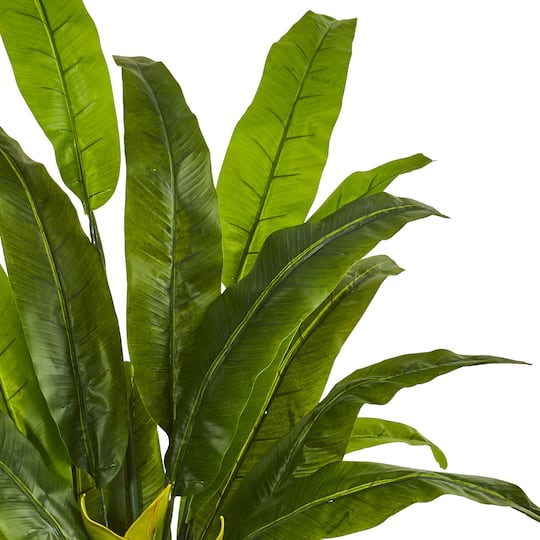 4.5ft. Potted Traveler's Palm Tree